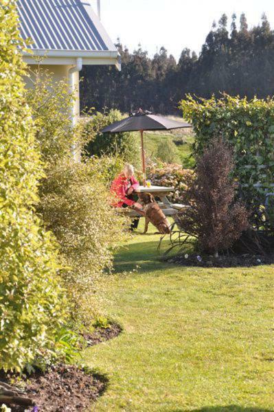 Blue Thistle Cottages Te Anau Eksteriør bilde